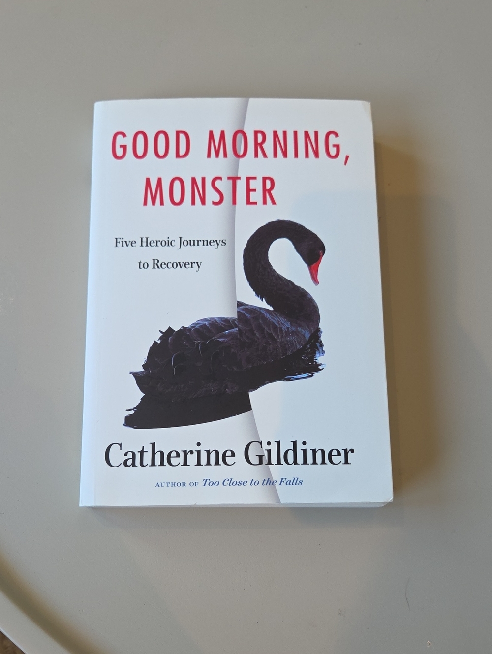 Good Morning Monster book